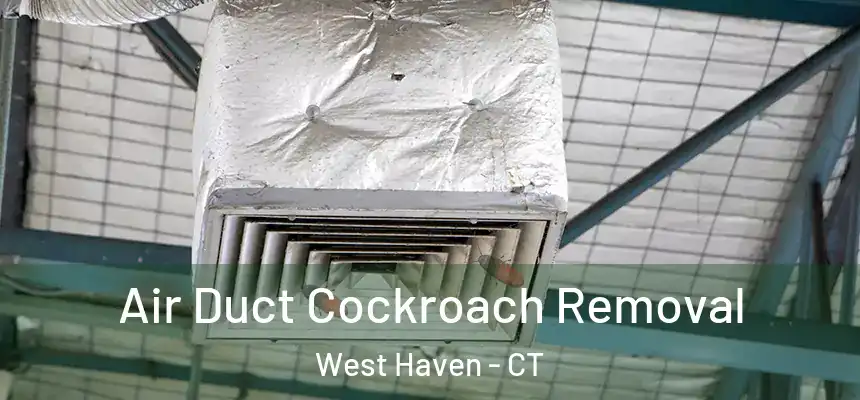  Air Duct Cockroach Removal West Haven - CT