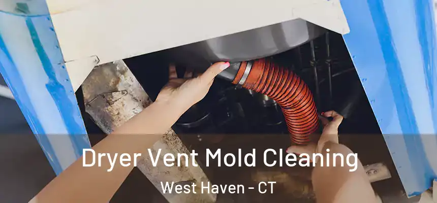  Dryer Vent Mold Cleaning West Haven - CT