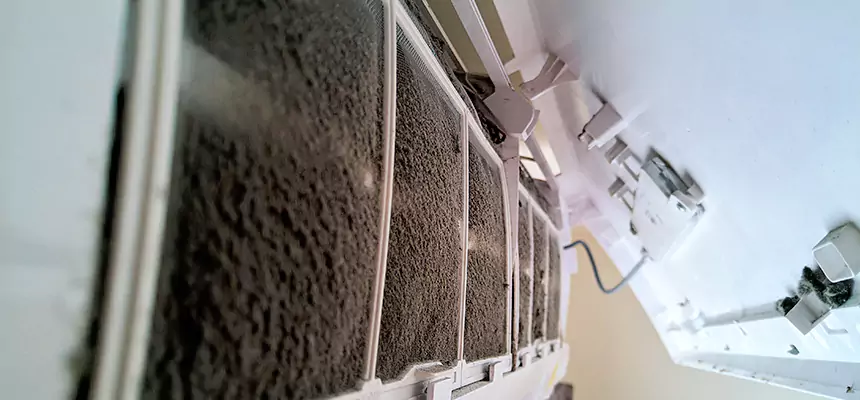 Preventive Air Duct Bacteria Removal in West Haven