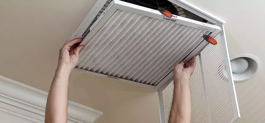 Preventive Cockroach-Proofing for Ducts in West Haven