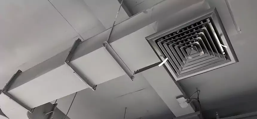 Restorative Allergy Relief Vent Cleaning – Coil, Blower & Housing Detail in West Haven