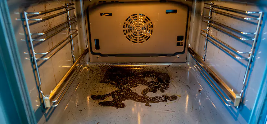 Our Dryer Vent Mold Cleaning Services in West Haven, CT