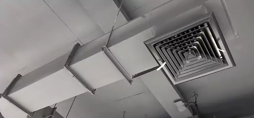 Our Pest Removal From Ducts Services in West Haven, CT