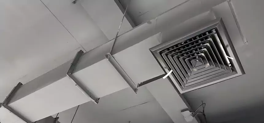 Our Rodent Droppings In Vents Services in West Haven, CT