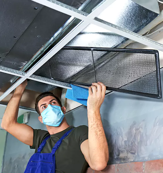 About Air Duct Bacteria Removal in West Haven