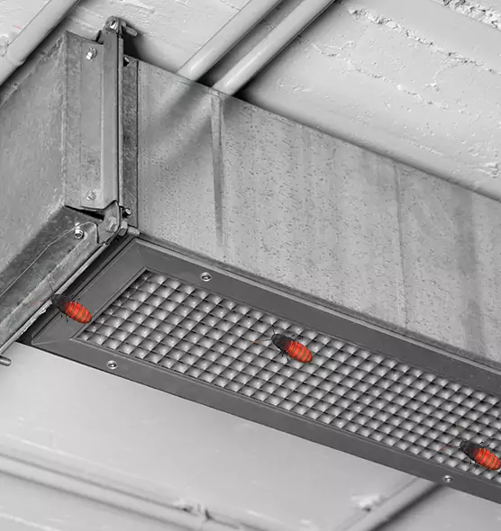 About Air Duct Cockroach Removal in West Haven, CT