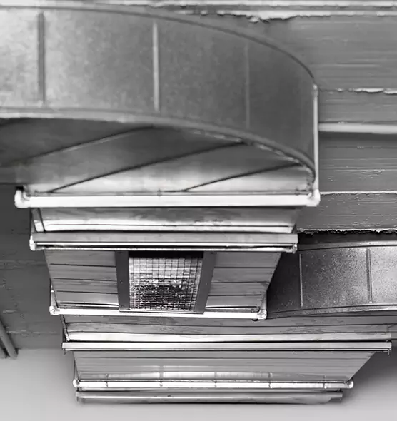 Professional Air Duct Pest Removal in West Haven, CT