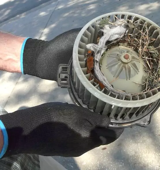 About Air Duct Rat Removal in West Haven, CT