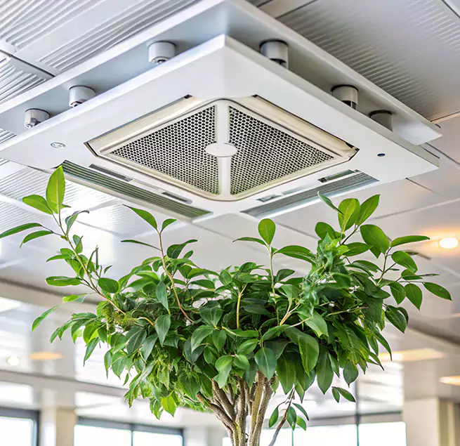 Why Homeowners & Businesses Trust Us in West Haven, CT?